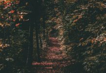 【第2022-9】易哲学院主题讨论之——别自然的中华文明与道术观