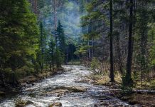 【第2025-3】荀子读辩(二)