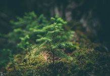 【第2022-3】读《中国文化与中国哲学》