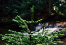 【第2025-7】本然论建构(二十二)